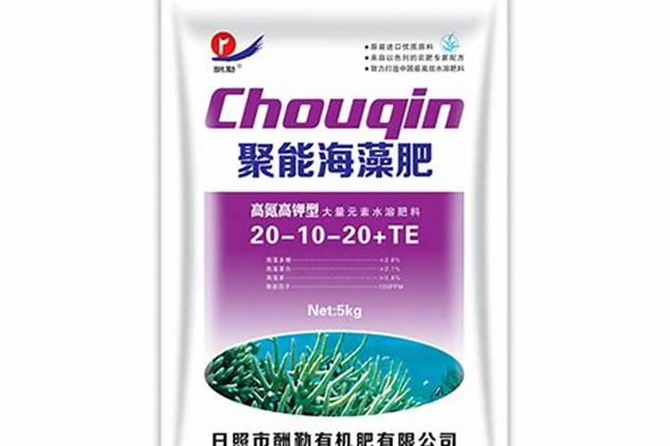 浇灌绿植用什么肥料效果好