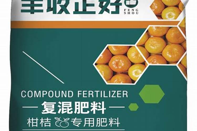 金桔的养殖方法和注意事项