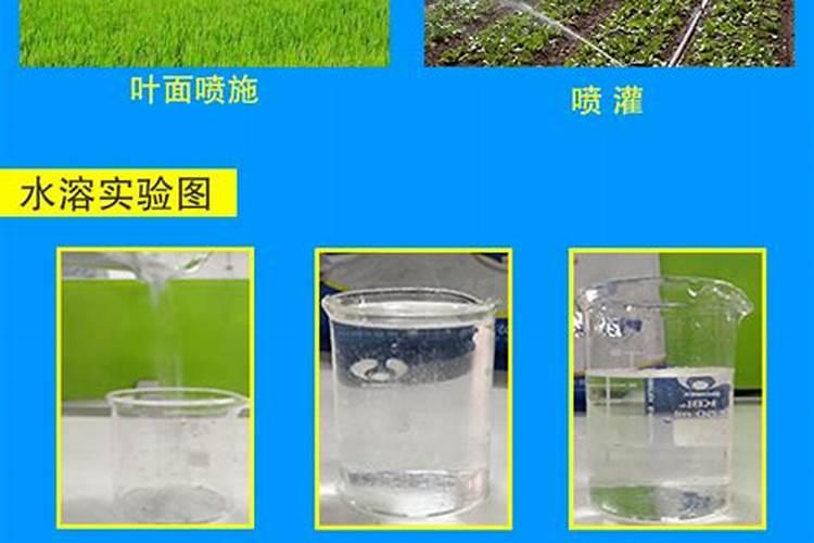 国内比较好水溶肥厂家有哪些