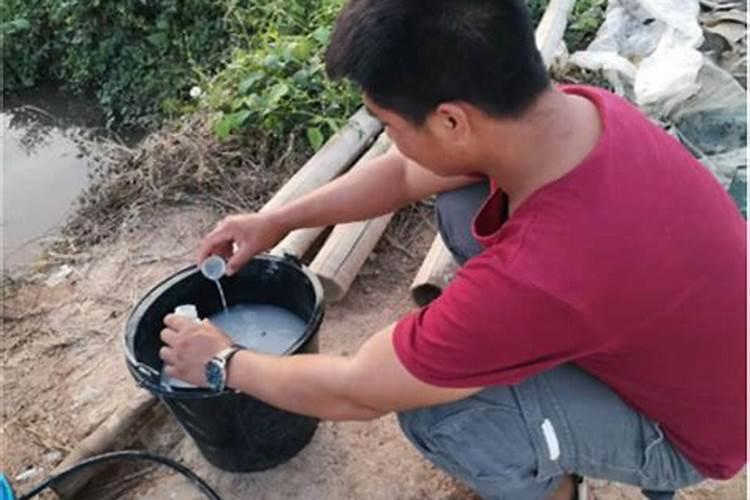 草莓叶子出现这种情况是什么导致的？