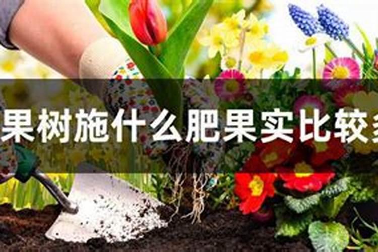 苹果树什么季节打什么农药,