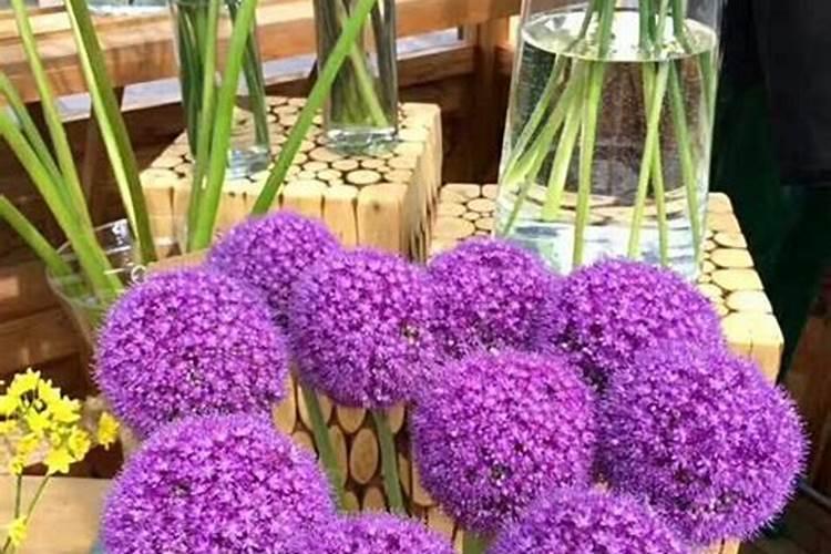 氧化钾和硫酸钾哪个好