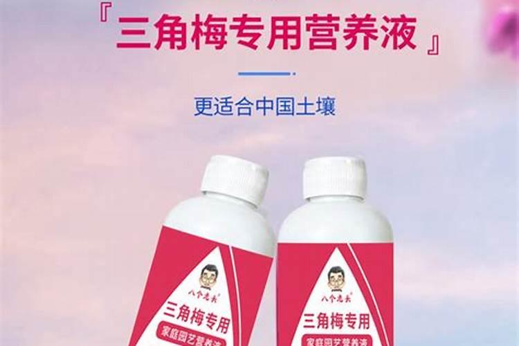 三叶梅怎么养殖方法