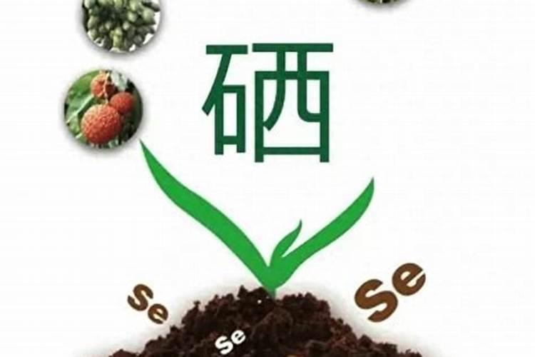 用化肥当营养液种菜可以吃吗