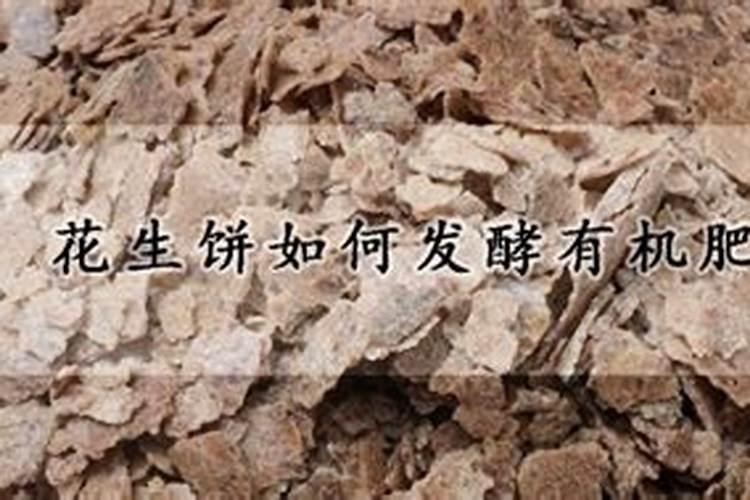 饼肥水怎么做啊