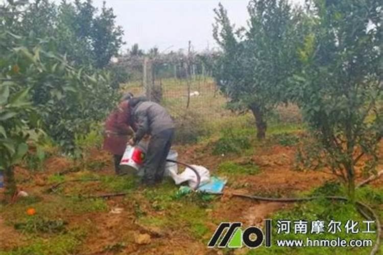 桃树补钙用什么好钙肥