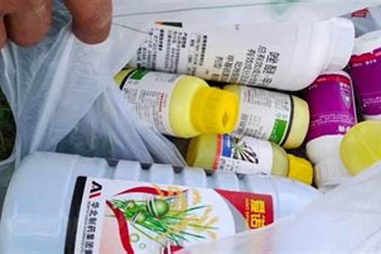 铁树用什么肥料比较好