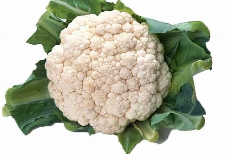 万年青可以喷水吗