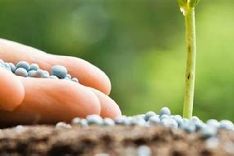 矿源黄腐酸钾叶面肥,矿源黄腐酸钾啥时用比较好,矿源黄腐酸钾作用抗旱...