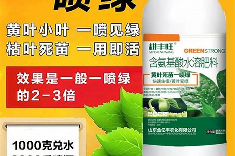 药材白芍种植技术