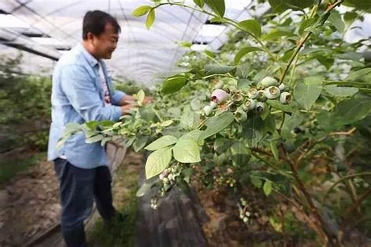 水质中总氮总磷的测定方法,具体的国家标准方法？急