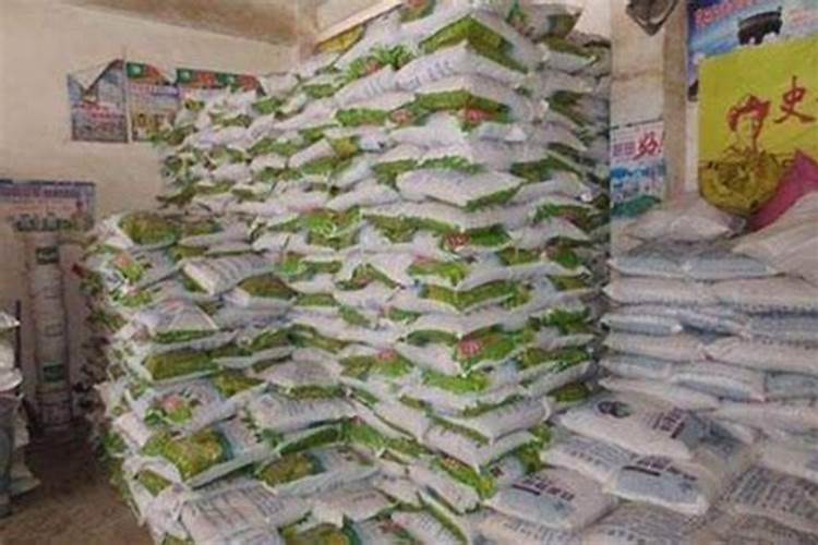 芸豆要想高产花期怎么管理养植芸豆哪些是要注意的