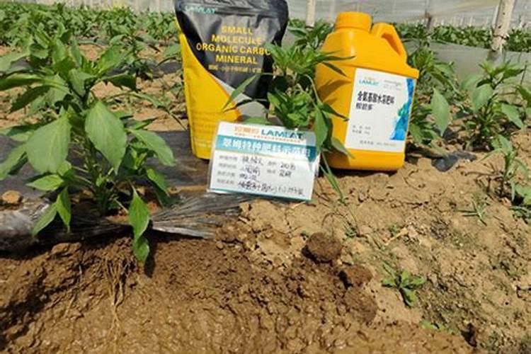 华鹏集团规模有多大？