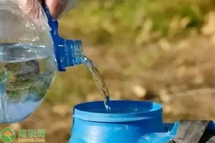 一百斤水三两水溶肥加三两尿素会不会烧根？