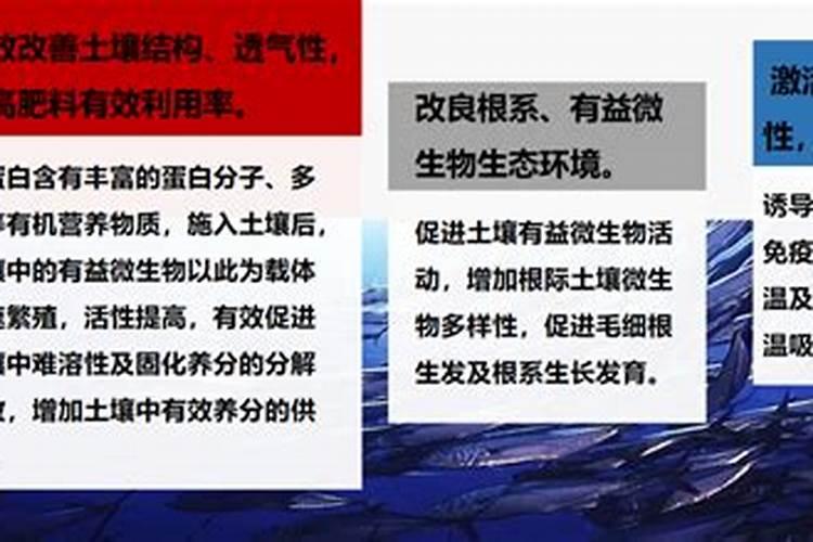 可溶性食用鱼蛋白制作方法