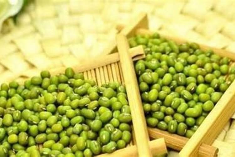 香蕉苗的种植方法