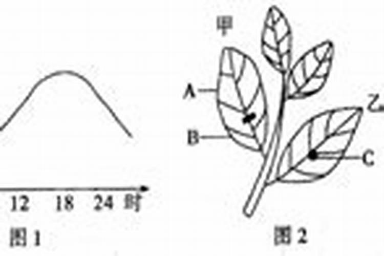 磷肥可以施在什么植物上