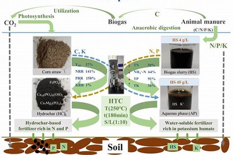 纯硫酸钾和硫酸钾型是一样东西吗？