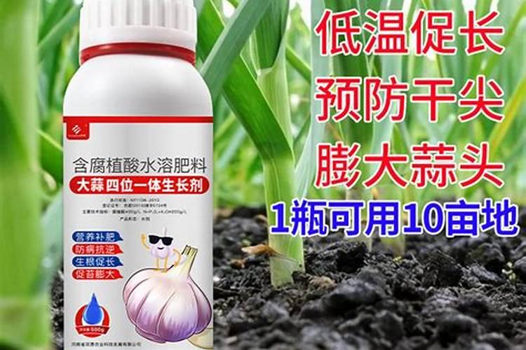 大蒜叶面肥喷什么肥最好
