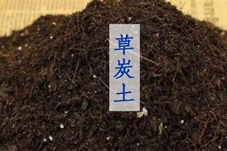 蔬菜结果后施什么肥