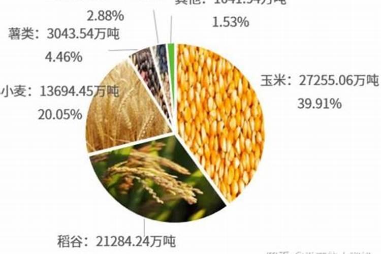 肥料有哪些种类