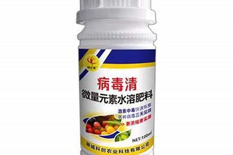 小西红柿病毒病打药能过来吗？