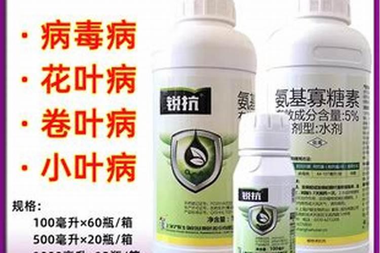 番茄黄化曲叶病毒病防治措施