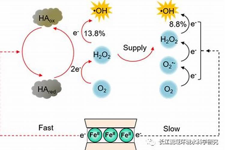 小苏打水可以浇花吗