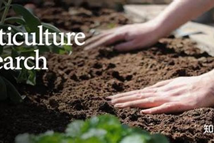 富硒叶面肥怎样喷水稻可以产富硒大米