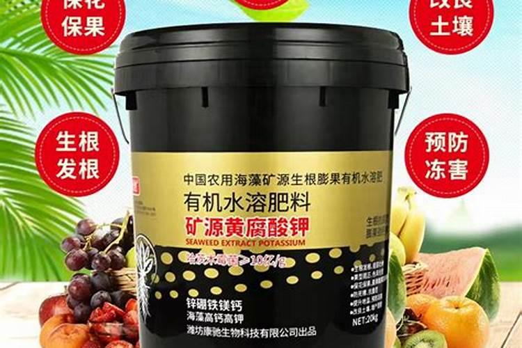 金太龙水溶肥一桶多少袋