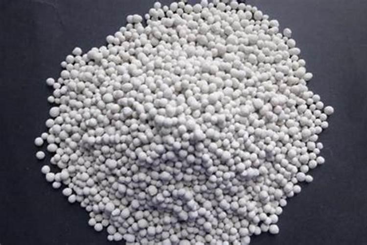 山东菏泽400岁牡丹王开花了,牡丹的生长习性是怎样的？