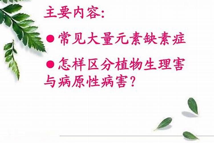 向日葵最适合什么土壤？