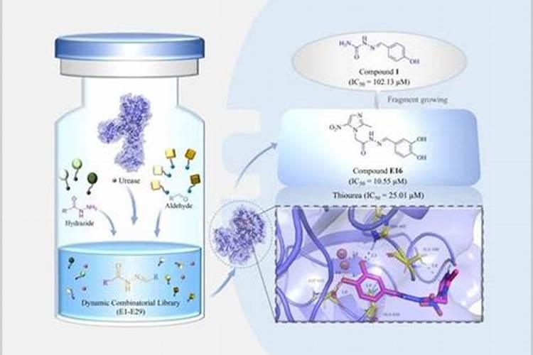 肥料增效剂的定义、分类及作用