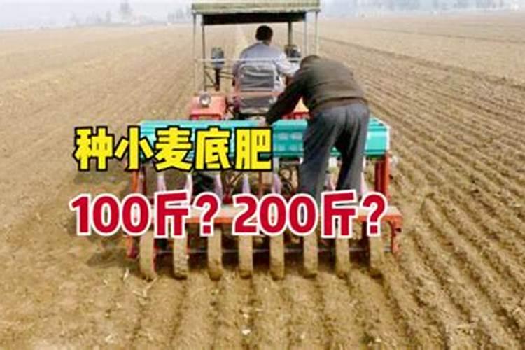 亩产1500斤的小麦底肥施多少