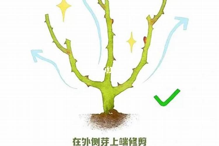 为啥土豆无人收购呀