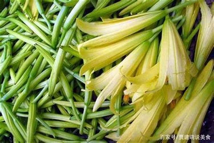 黄花菜二次生长是为什么？