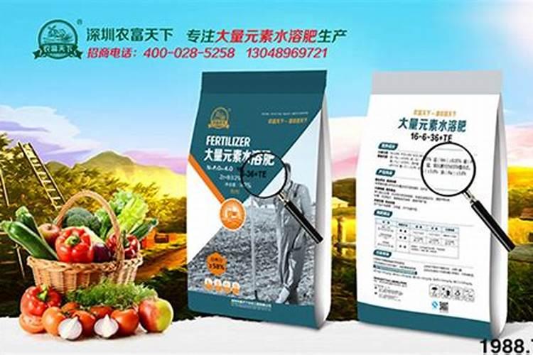 大白菜的施肥技术是什么