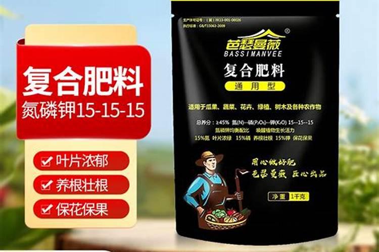 三角梅可以水培吗