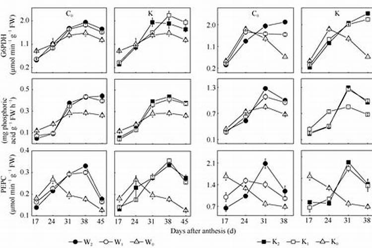 天热钓鲤鱼用什么小药