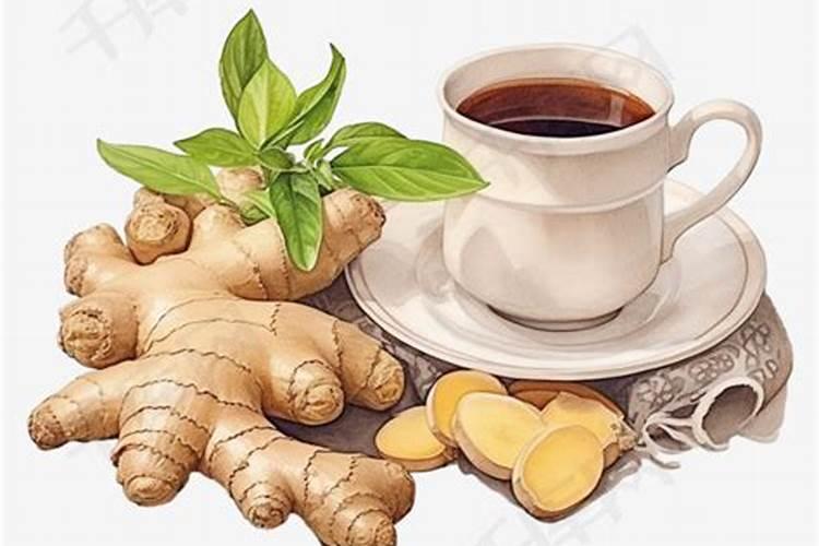 谁知道怎么养殖盆栽小金橘啊