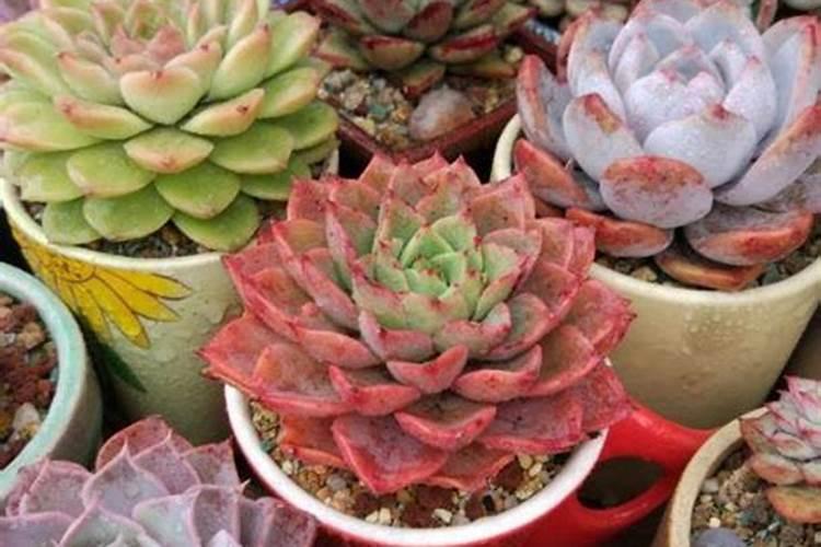 东海县山左口肥料厂在做肥料吗？