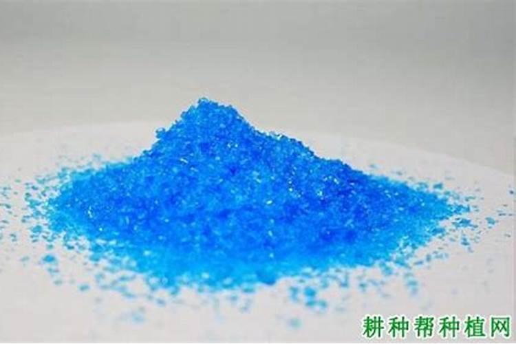 脐橙高产的叶面肥有哪些
