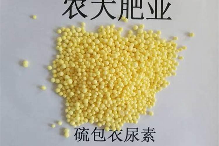 缓释肥和控释肥哪个好