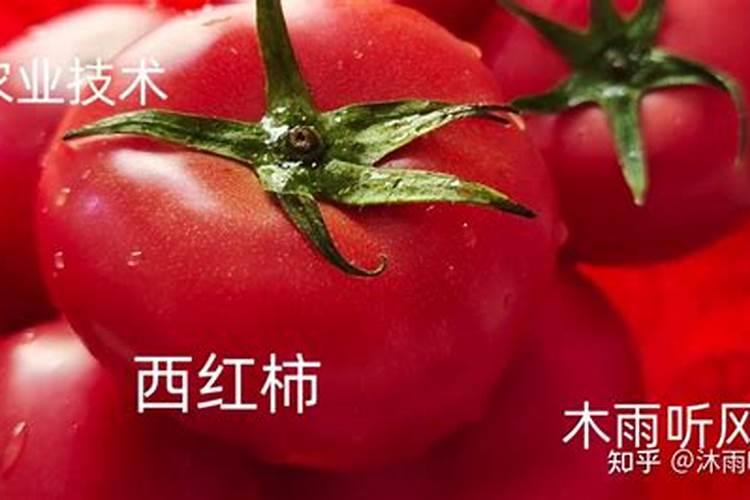 钾高的人能吃哪些食物