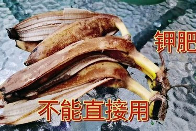 芸苔素内酯能用在苹果树上吗？效果怎么样？