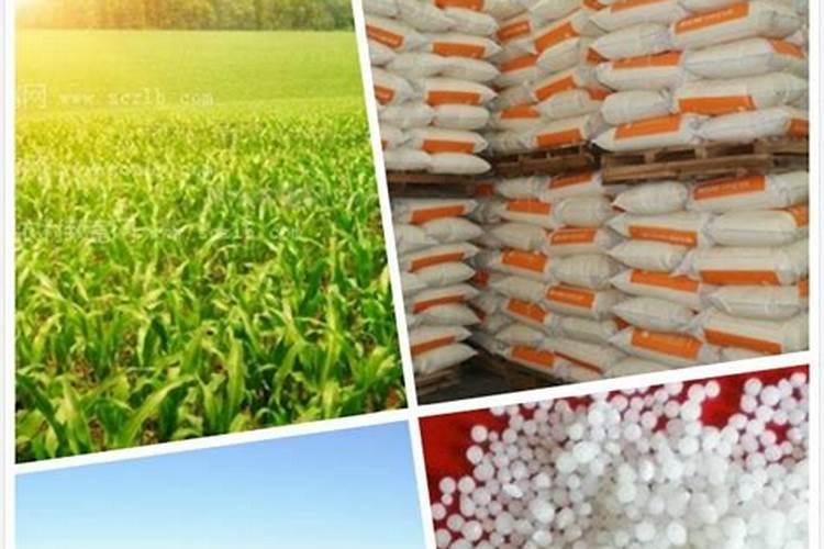 沙糖桔亩产量多少