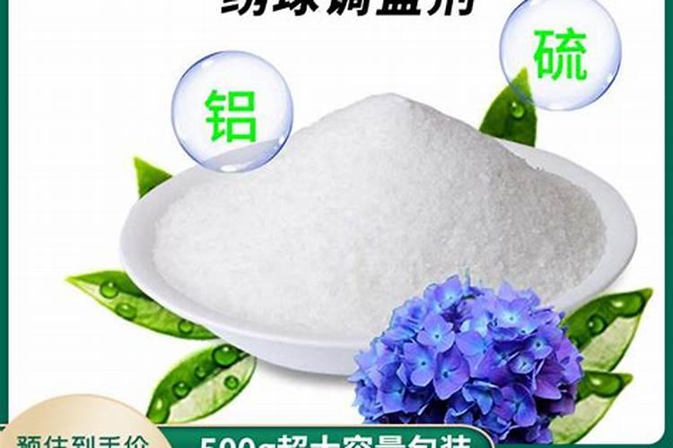 怎样养好盆栽桂花