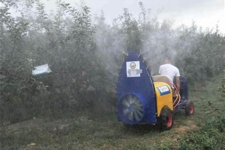 大豆追肥用什么肥料好