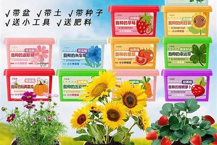 鱼蛋白肥料的功效与作用