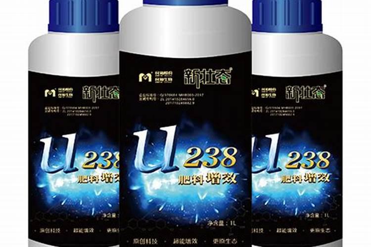 脐橙壮果肥该什么时候施 施肥方法有哪些